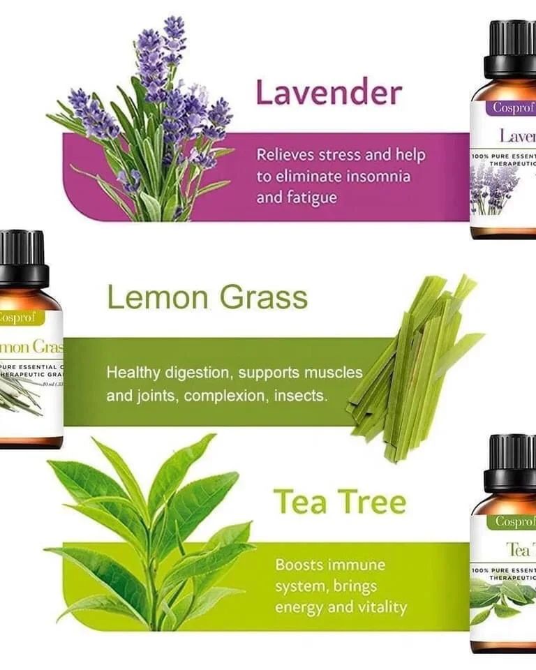 BowLift | Set Of 12 Pure Essential Oils Gift Set