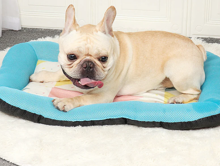 Pet Silk Cooling Mat | Bowlift