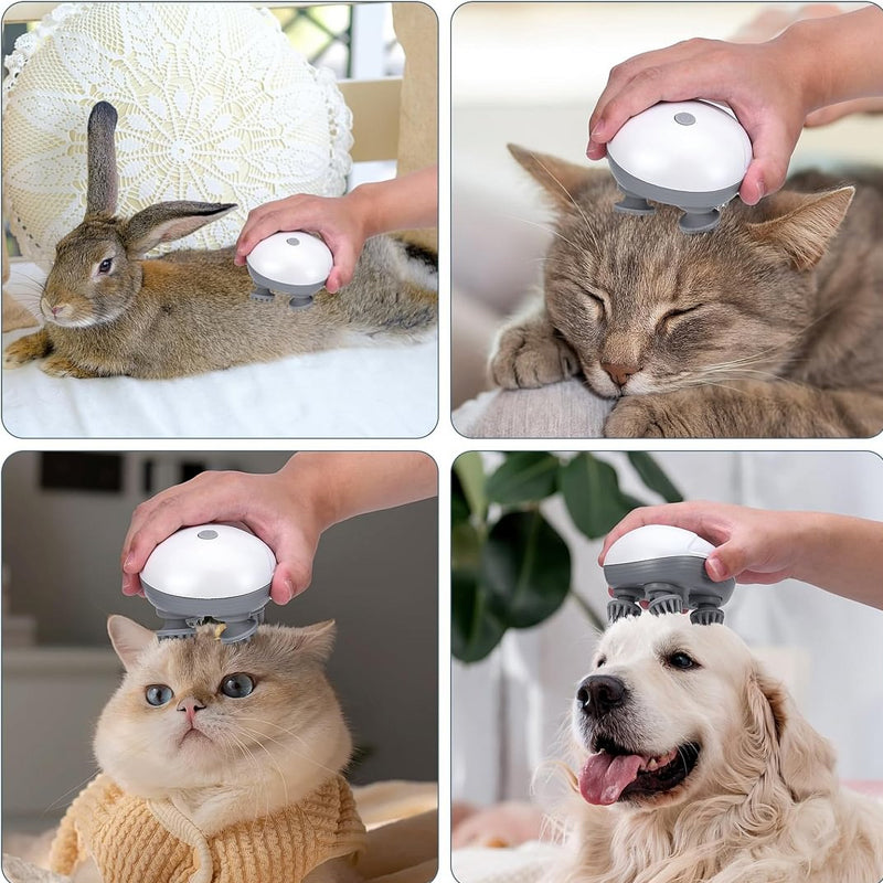 Mini Head Massager, available for pets and people | Bowlift