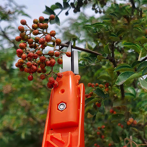 Efficient Pepper Picking Tools | Bowlift