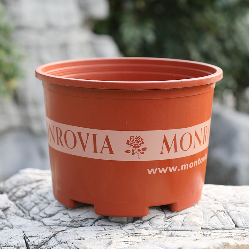 BowLift | Robust Plant Pot Made of Plastic – Weatherproof Flower Pot for Garden and Balcony