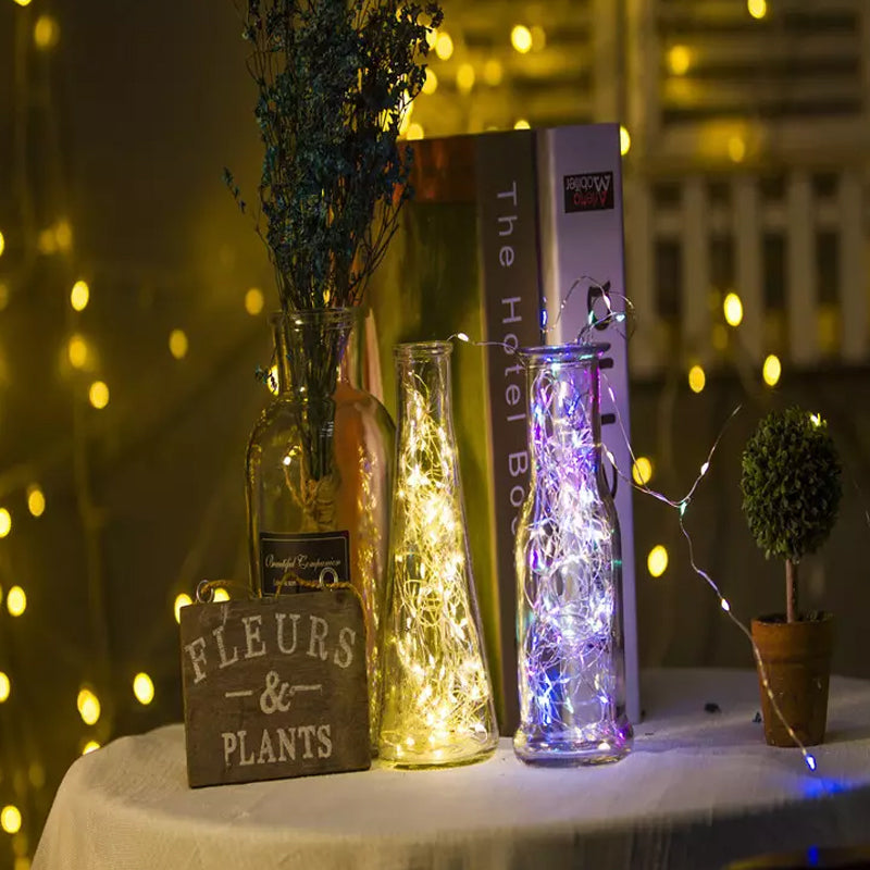 USB Remote Control Copper Wire Light String for Holiday Decoration | Bowlift