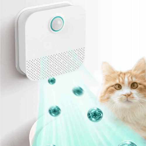 BowLift | Smart Litter Air Purifier – USB Rechargeable & Quiet