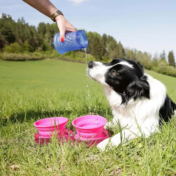 BowLift | Travel Dog Diner Set