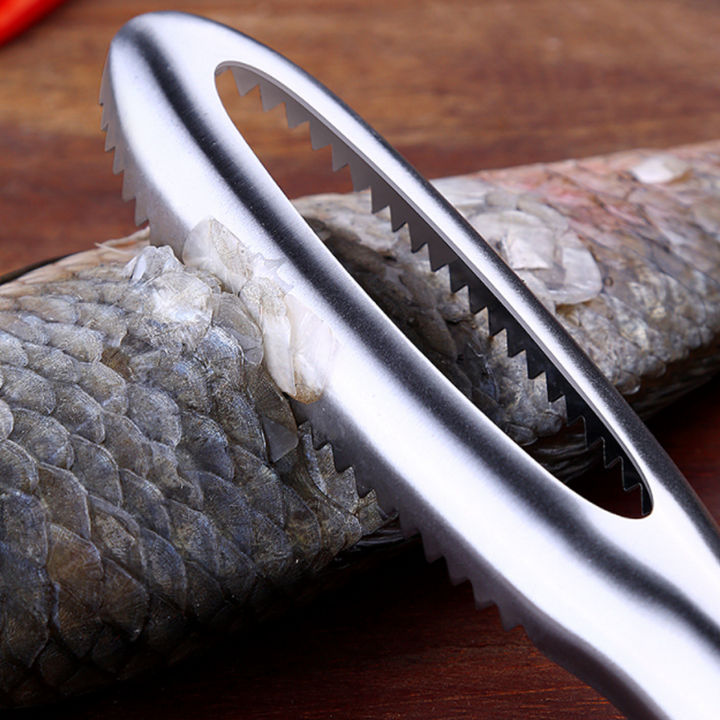BowLift | Stainless Steel Fish Scales Scraper