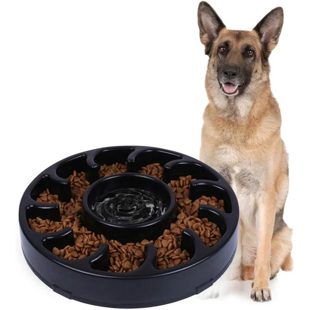 PawSlow • Dog Feeding Bowl Slow