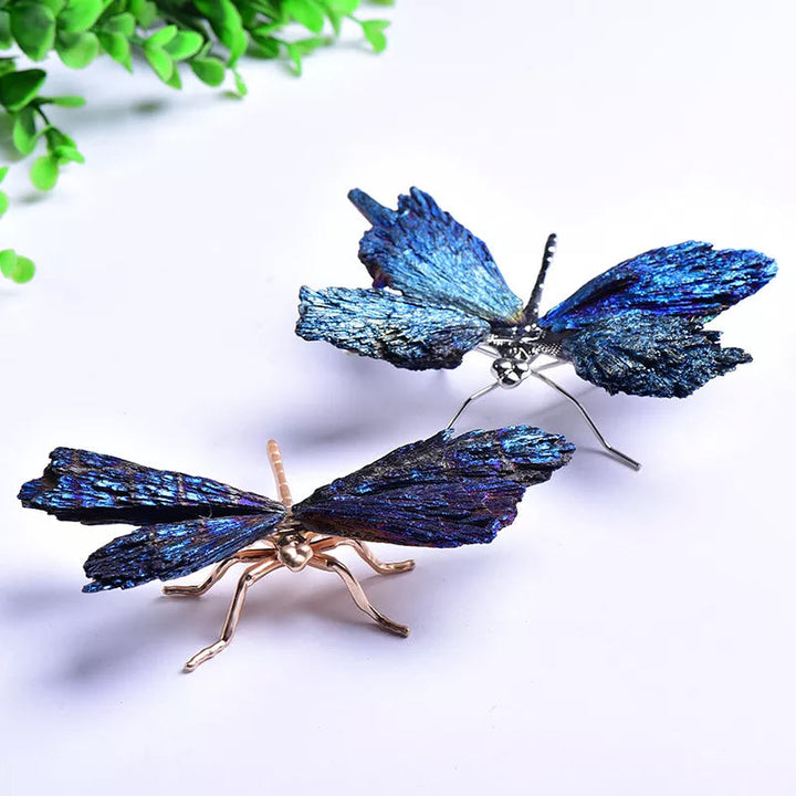 AURA TOURMALINE KYANITE DRAGONFLY | Bowlift