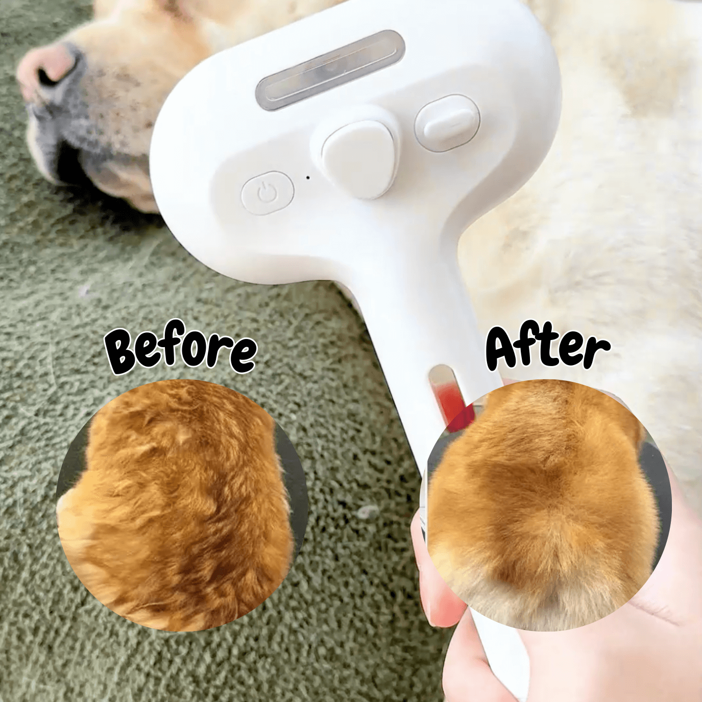 BowLift | DampfVacht Steam Brush – Gentle Care for Every Dog Coat