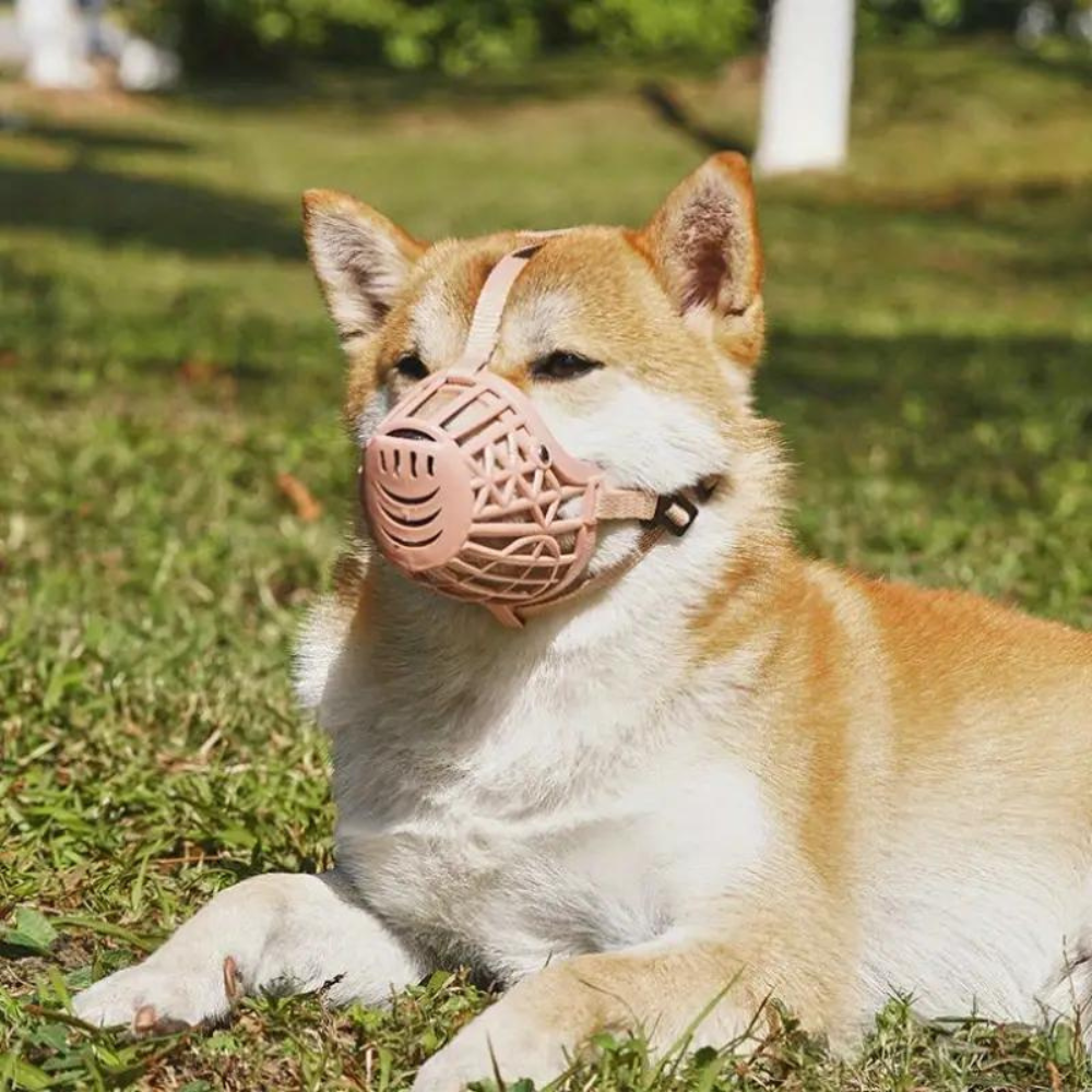 FlexGuard • Basket Dog Muzzle