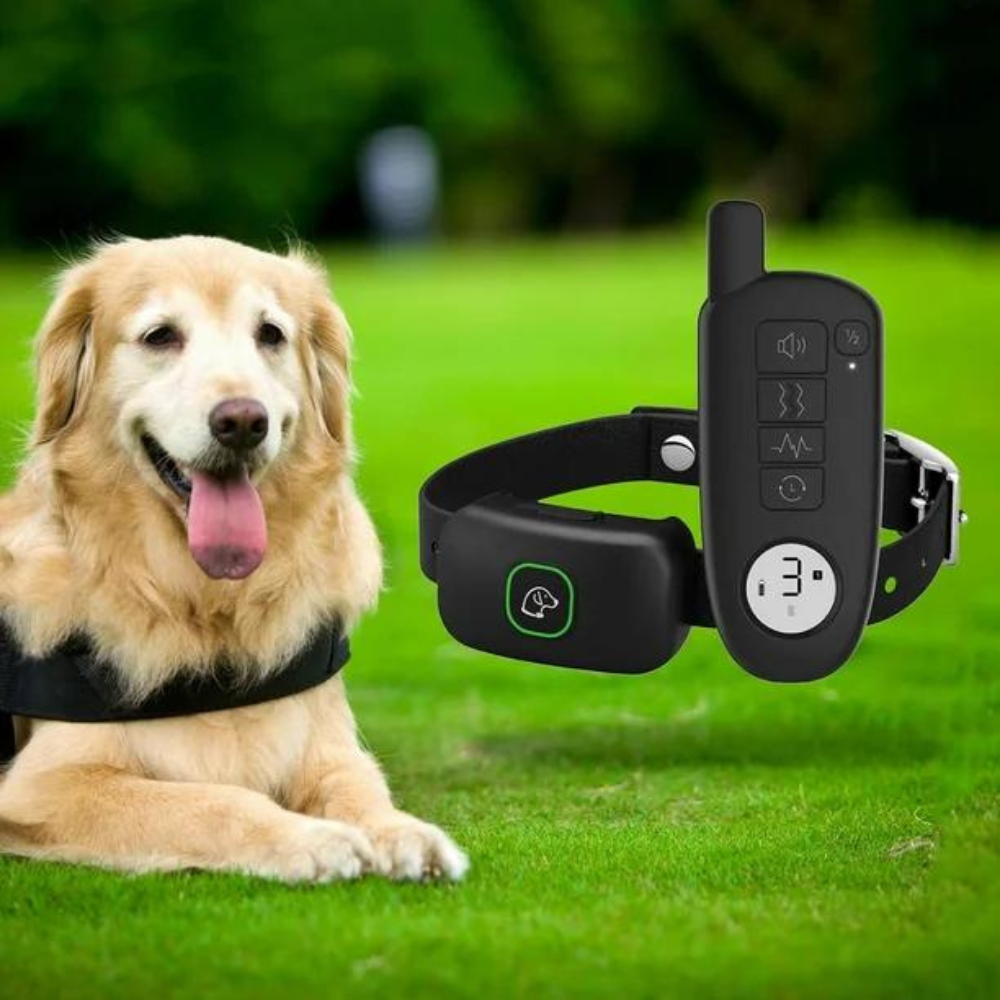 ProTrainer • Dog Training Collar