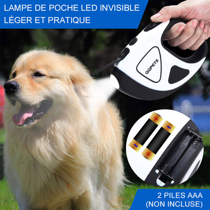 LED Leash for Pets retractable | Bowlift