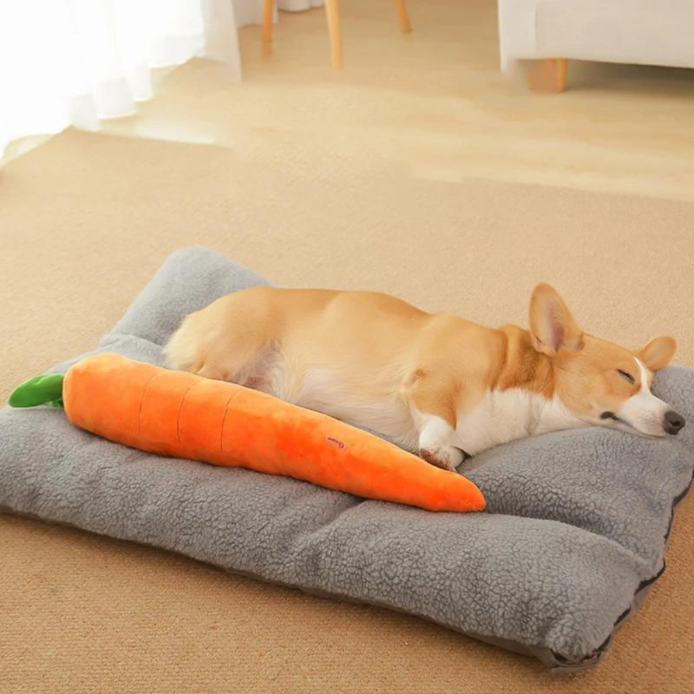 CarrotPlush • Interactive Dog Chew Toy