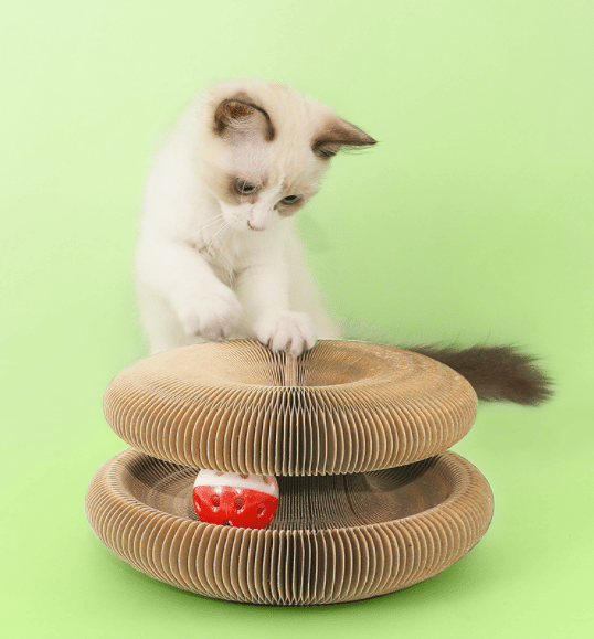 BowLift | Magic Cat Scratch Board(with ball )