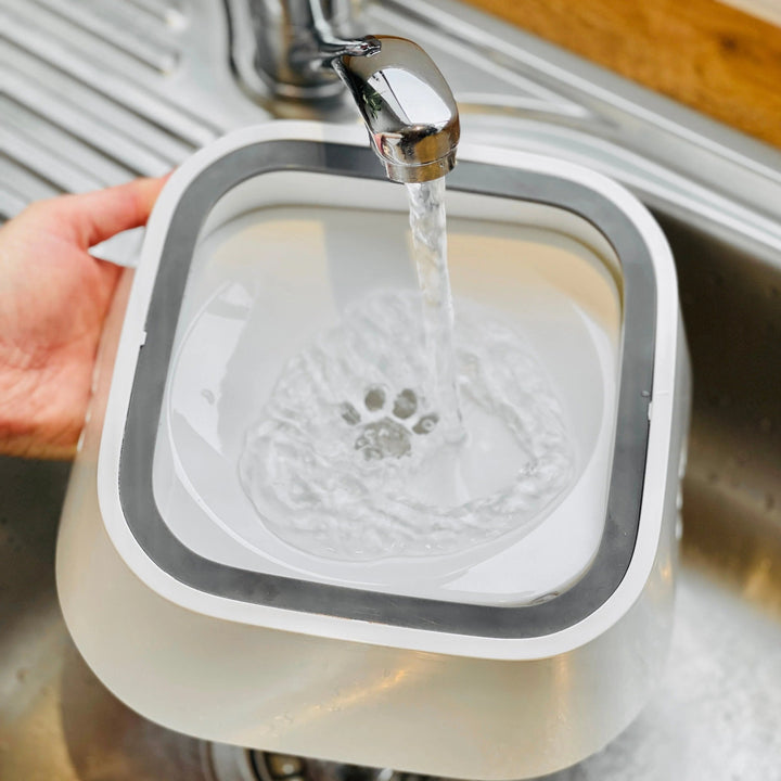 BowLift | Dry Bowl Dog Drinking