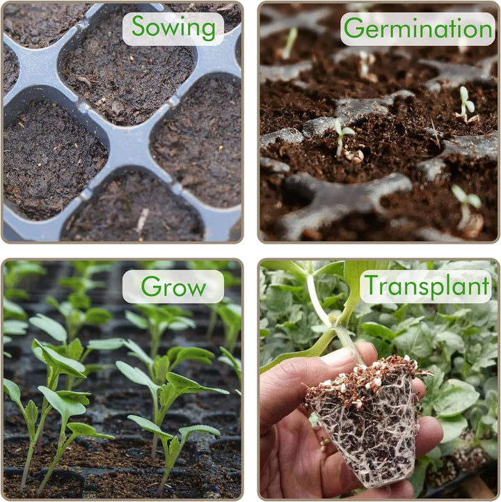 BowLift | Rectangular Plant Bowl – Seedling Tray for Efficient Germination and Growth of Seedlings