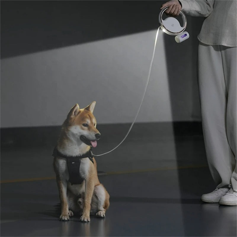 BowLift | Automatic Dog Leash LumoLeash | With LED light & ergonomic grip | Retractable mechanism | For small & medium dogs