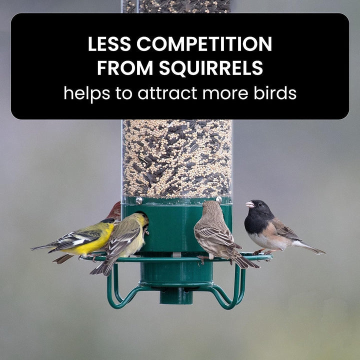 BowLift | Bird Feeder Hanging Metal Squirrel Proof Tube