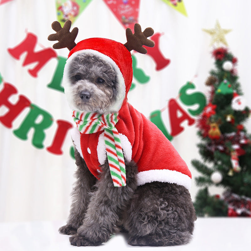 BowLift | Santa Claus Home Winter Pet Costumes