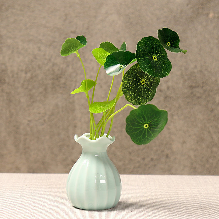 Elegant Curved Ceramic Flower Vase Bowlift
