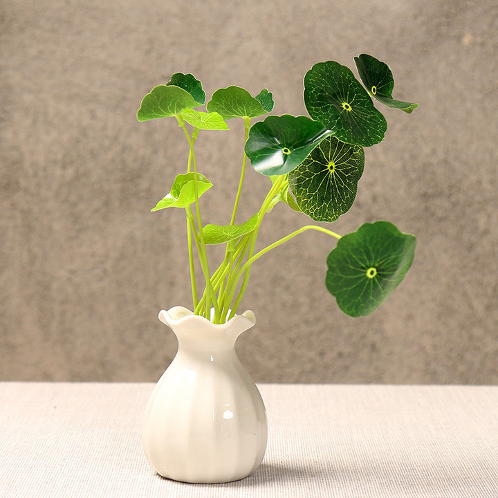Elegant Curved Ceramic Flower Vase Bowlift