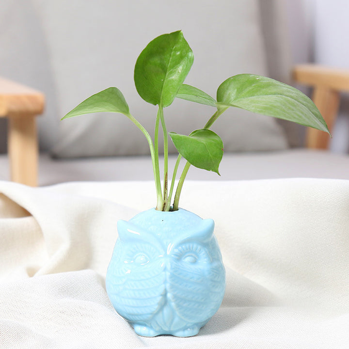 Owl-Shaped Succulent Planter Bowlift