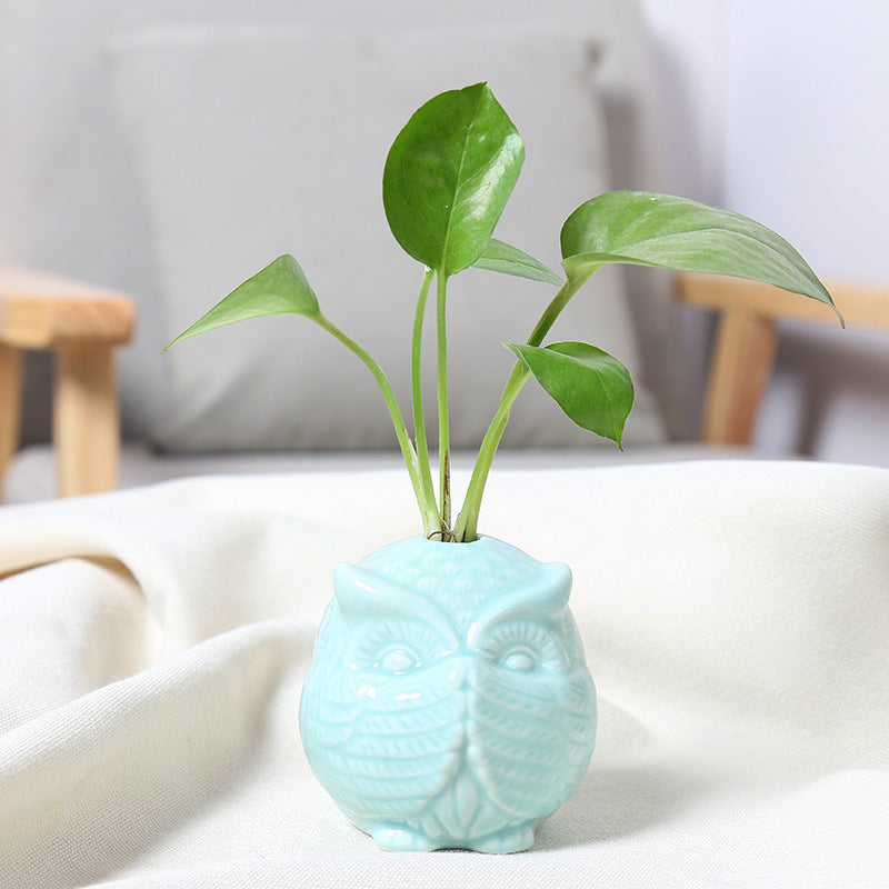 Owl-Shaped Succulent Planter Bowlift
