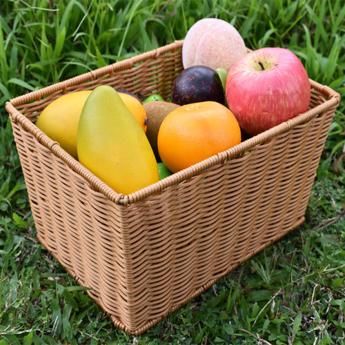 Woven Storage Basket with Natural Fiber Bowlift