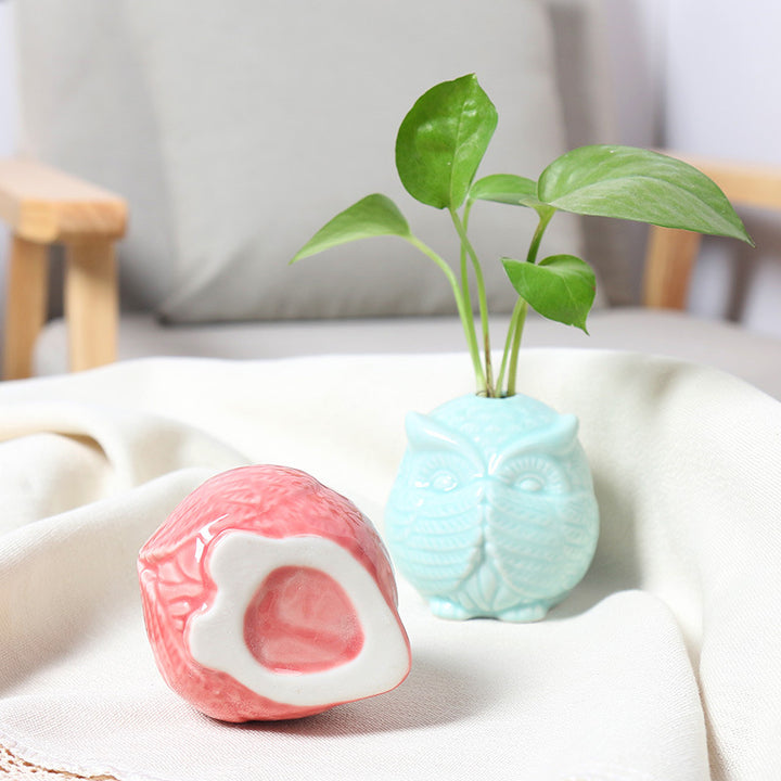 Owl-Shaped Succulent Planter Bowlift