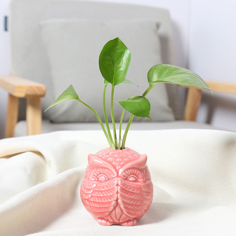 Owl-Shaped Succulent Planter Bowlift