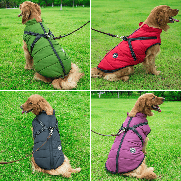 Winter Dog Jacket with Harness | Bowlift