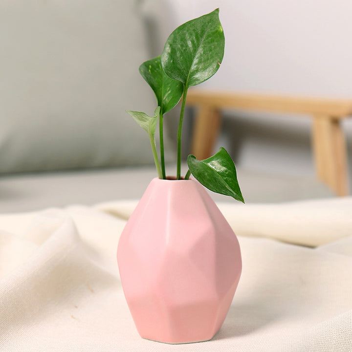 Geometric Ceramic Decorative Vase Bowlift