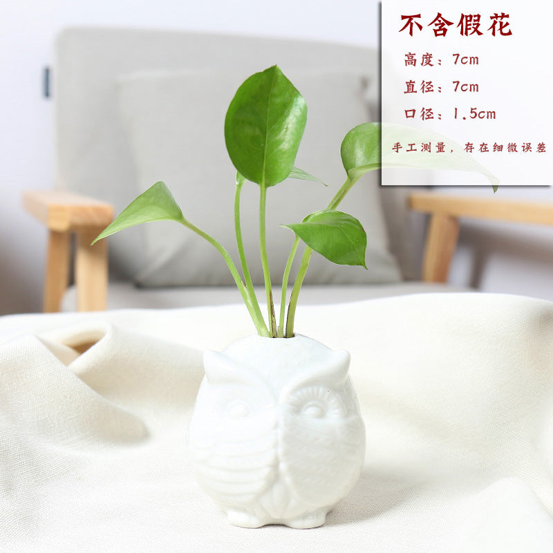 Owl-Shaped Succulent Planter Bowlift