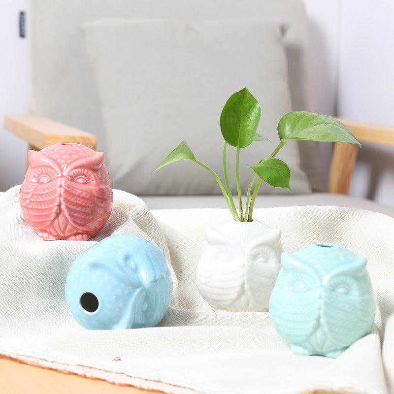 Owl-Shaped Succulent Planter Bowlift