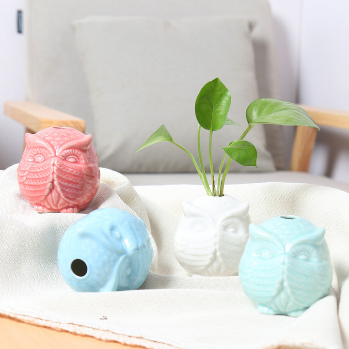 Owl-Shaped Succulent Planter Bowlift