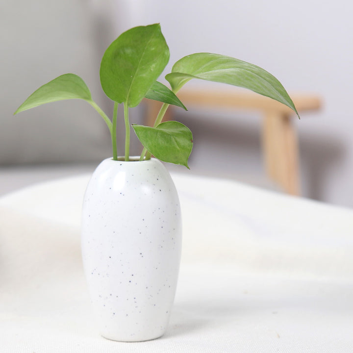 Elegant Ceramic Planter Bowlift