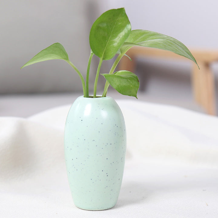 Elegant Ceramic Planter Bowlift
