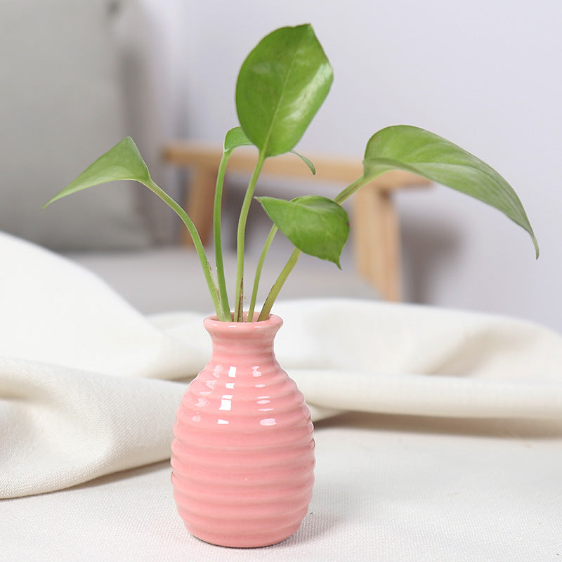 Artistic Ceramic Miniature Vases Bowlift