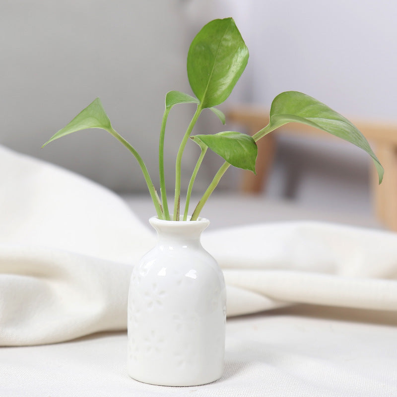 Artistic Ceramic Miniature Vases Bowlift