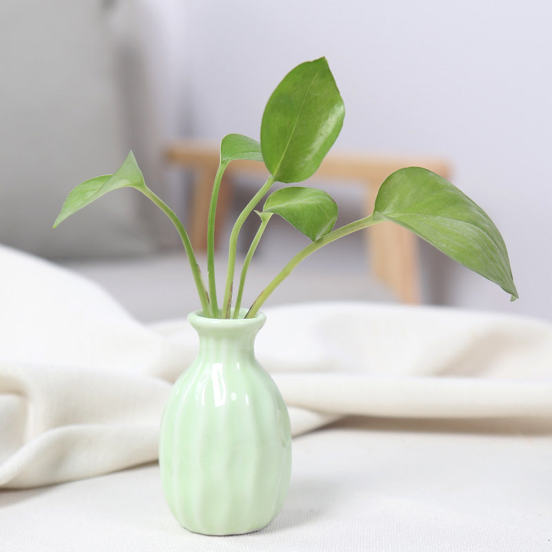 Artistic Ceramic Miniature Vases Bowlift