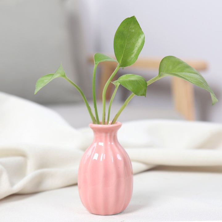 Artistic Ceramic Miniature Vases Bowlift