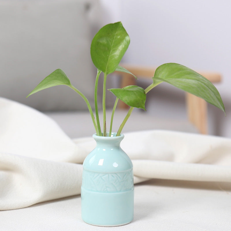 Artistic Ceramic Miniature Vases Bowlift