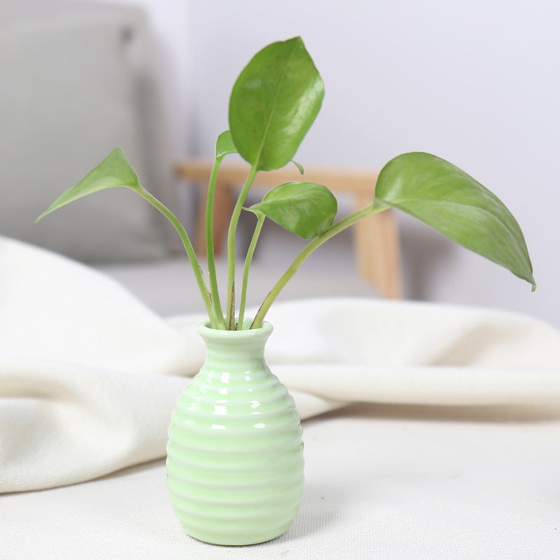 Modern Textured Ceramic Bud Vase Bowlift