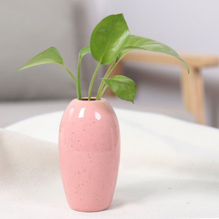 Elegant Ceramic Planter Bowlift
