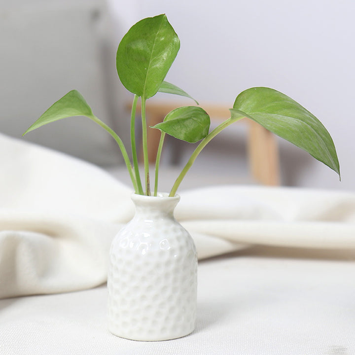Artistic Ceramic Miniature Vases Bowlift