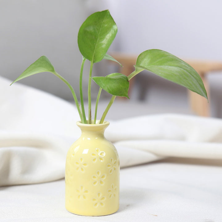 Charming Ceramic Bud Vase Bowlift