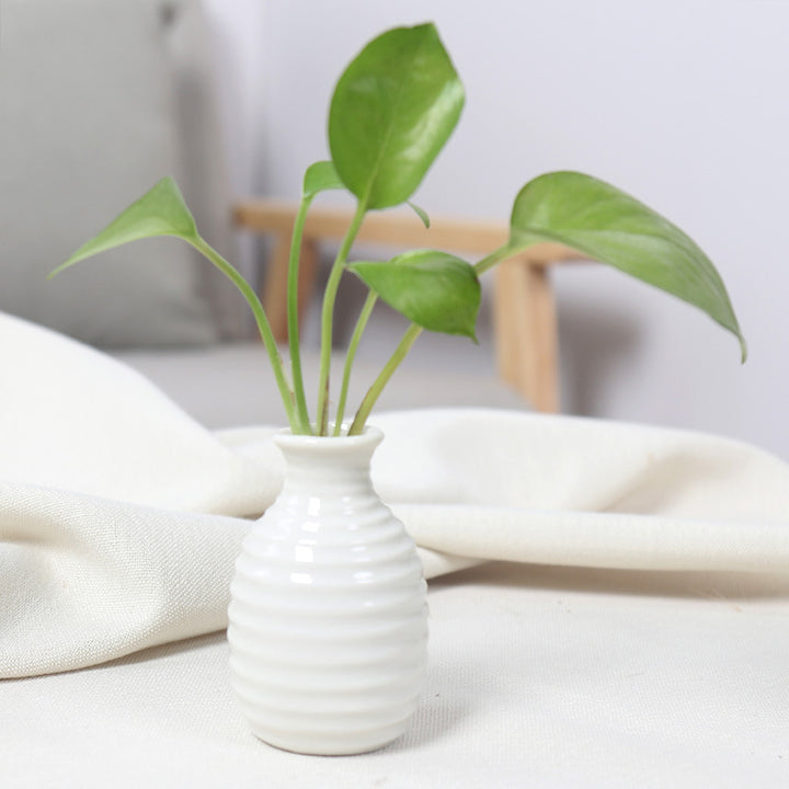 Modern Textured Ceramic Bud Vase Bowlift