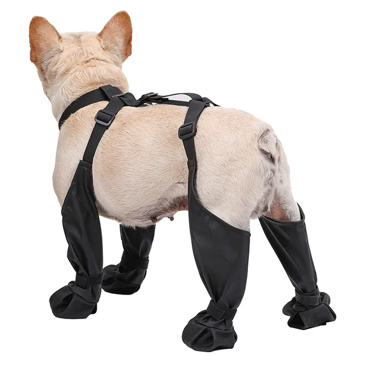 BowLift | Adjustable Dog Boots