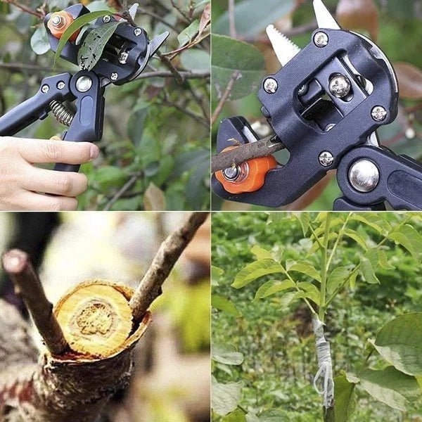 BowLift | SécateurPro | Bloom your garden with passion