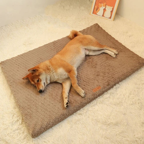 BowLift | LUXIPLUSH - Orthopedic Dog Bed