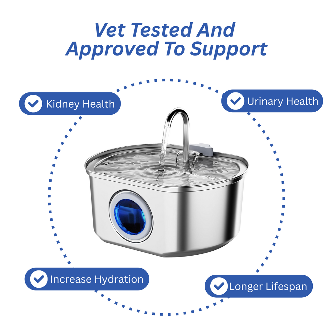 BowLift | Felindra Cat Drinking Fountain Made of Stainless Steel | Flowing Water for Better Hydration | Quiet & Hygienic | 2.5 L Capacity